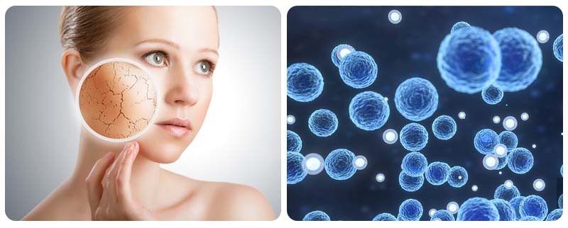 Allantoin powder-2 Allantoin powder-2