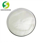 پودر بتا آربوتین