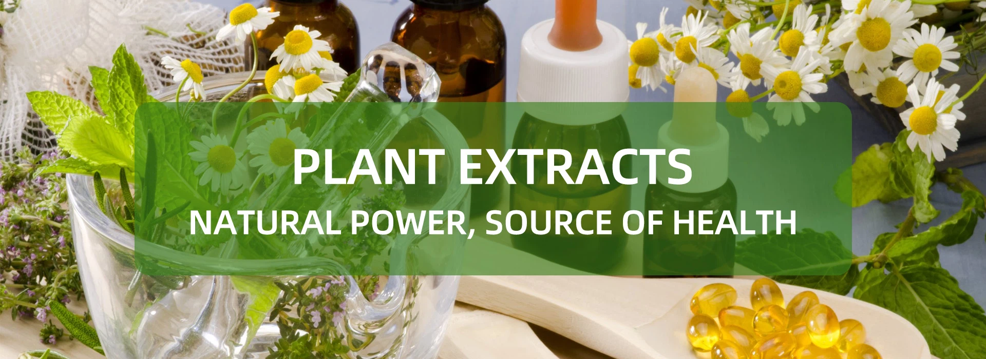plant extract product