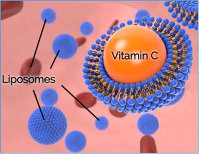 liposomes