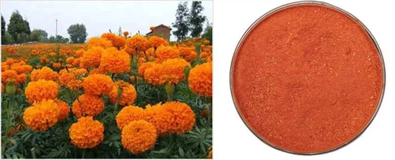 Zeaxanthin 