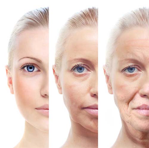 delay skin aging
