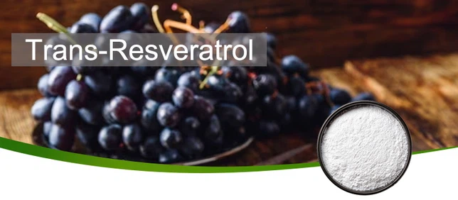 trans-resveratrol 2 trans-resveratrol 2