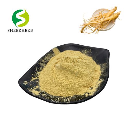 عصاره استاندارد جینسینگ