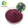 Elderberry Extract Powder