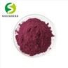 Elderberry Extract Powder