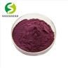 Elderberry Extract Powder