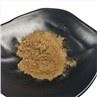 Fungus Extract
