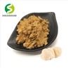 Lion Mane Extract Powder