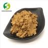 Lion Mane Extract Powder