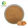 Lion Mane Extract Powder